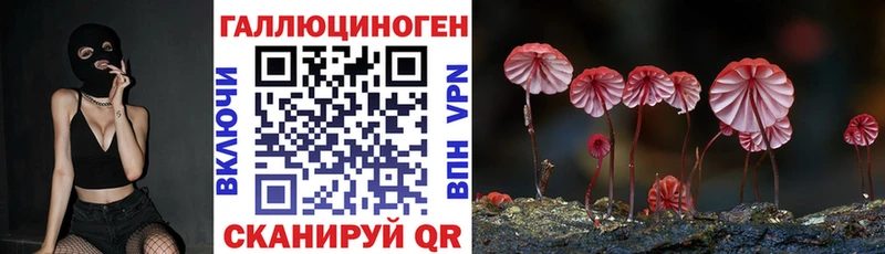 Купить где Шумиха Галлюциногенные грибы MAGIC MUSHROOMS